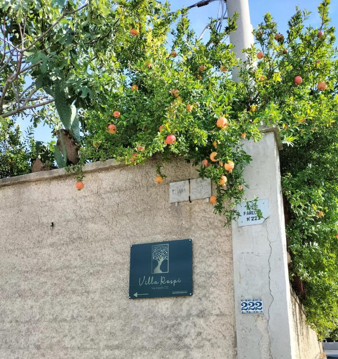 Villa Rospi Bari Exterior foto